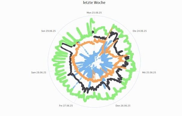 Kurvenverlauf oder Polar-Diagramm?